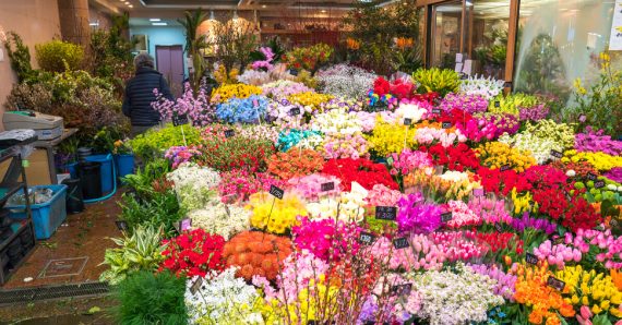 Flower Shop In Bugis
